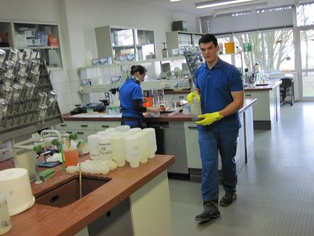 Zwei GKW-Mitarbeiter bei ihrer Arbeit im Labor.