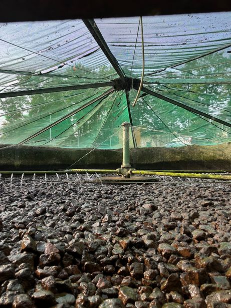 Die Tropfkörper-Anlage auf der Kläranlage Aichwald von innen. Das Abwasser wird auf Lavasteine gespritzt die des Wasser biologisch Reinigen. 